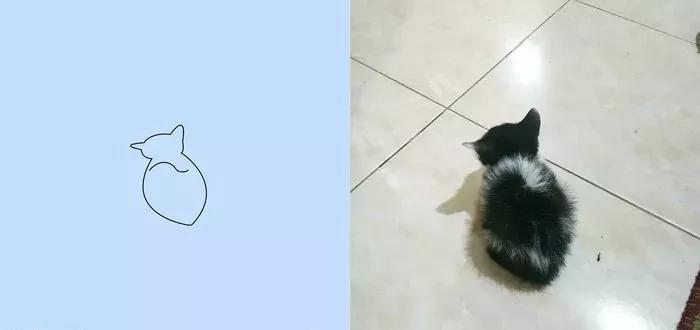 一波可爱动物简笔画,超火的简笔画动图