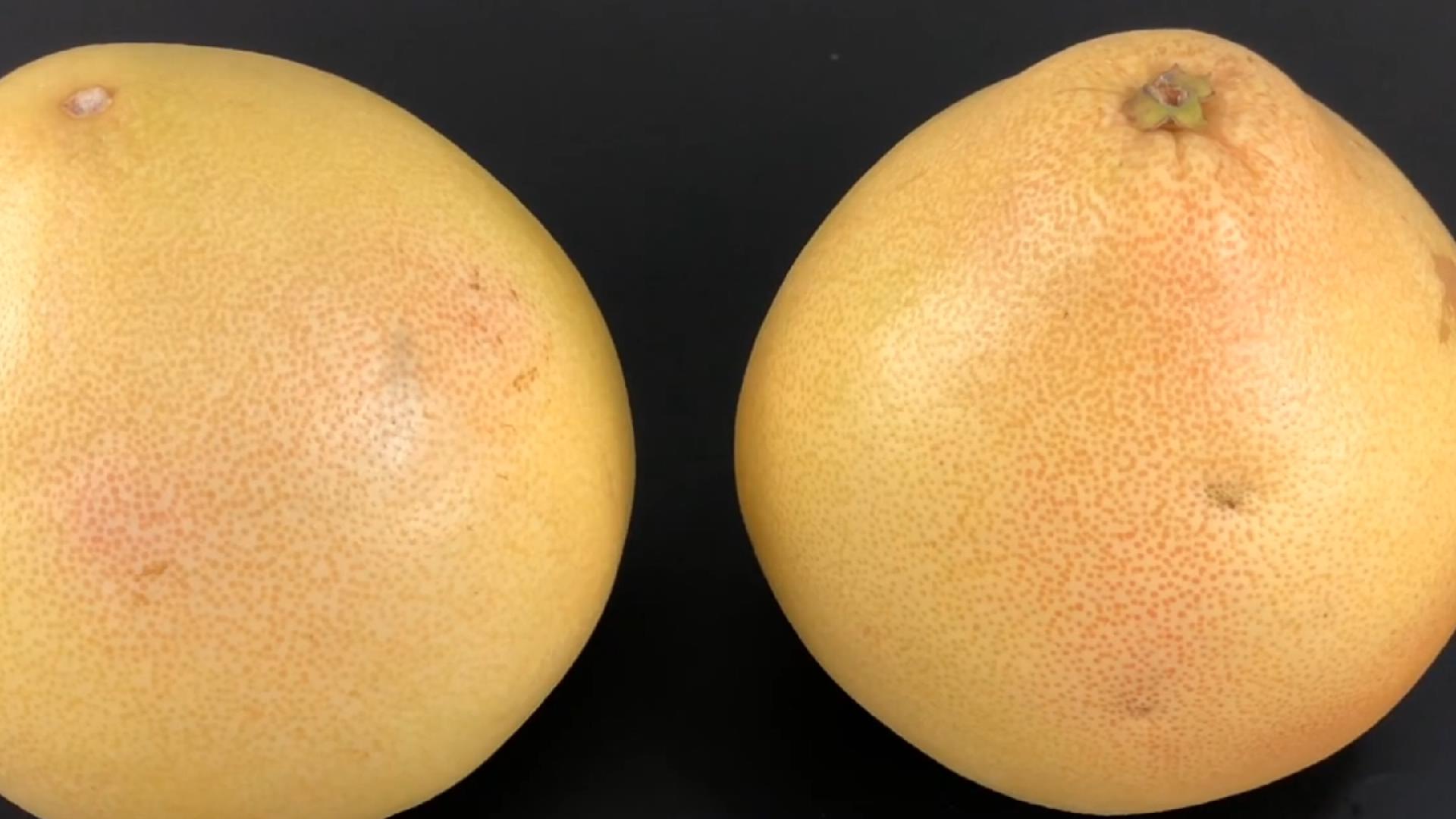 秋季必不可少的10种时令蔬菜,秋季适合吃5种水果