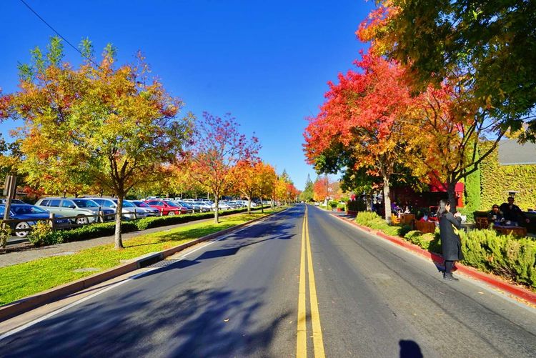 美国德州西部自由行,美国西海岸可以自由航行么