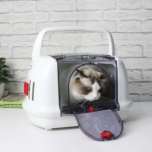 猫咪第一次用猫包注意什么,猫咪自制包