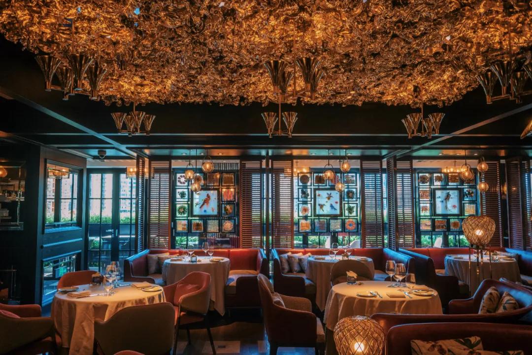 鍗庡皵閬撳か鐧惧勾缁忓吀,鍗庡皵閬撳か鐧惧勾鐢垫