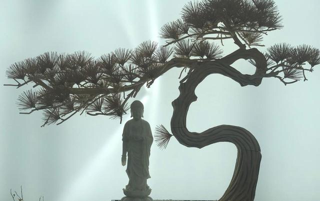 走进盆景世界领略盆景的魅力所在,浅谈盆景的大小与艺术价值