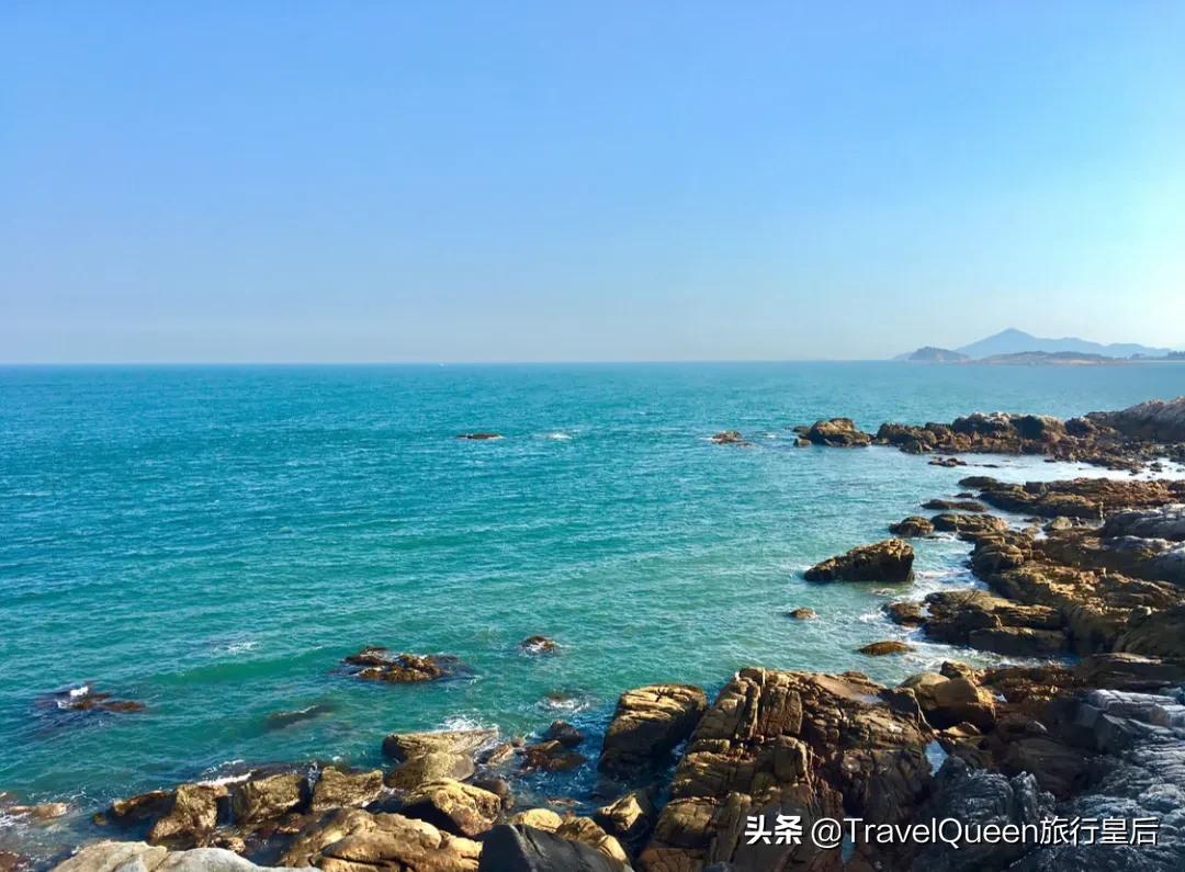 动物森友会无人岛一天可以去几次,动物森友会所有虫类图鉴