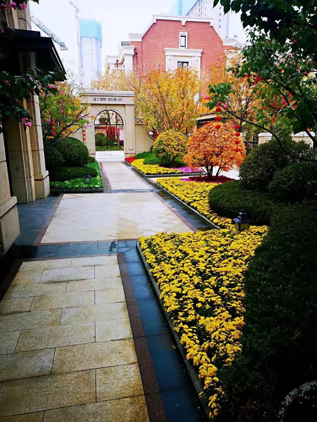 【钱紧买错楼盘？真的不如不买】