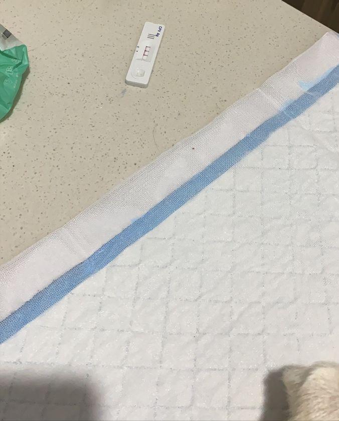 买只法斗小狗狗,买一只小法斗要多少钱