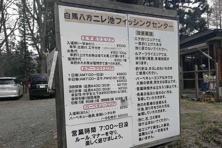 外国游客在日本钓鱼是一个什么样的体验？