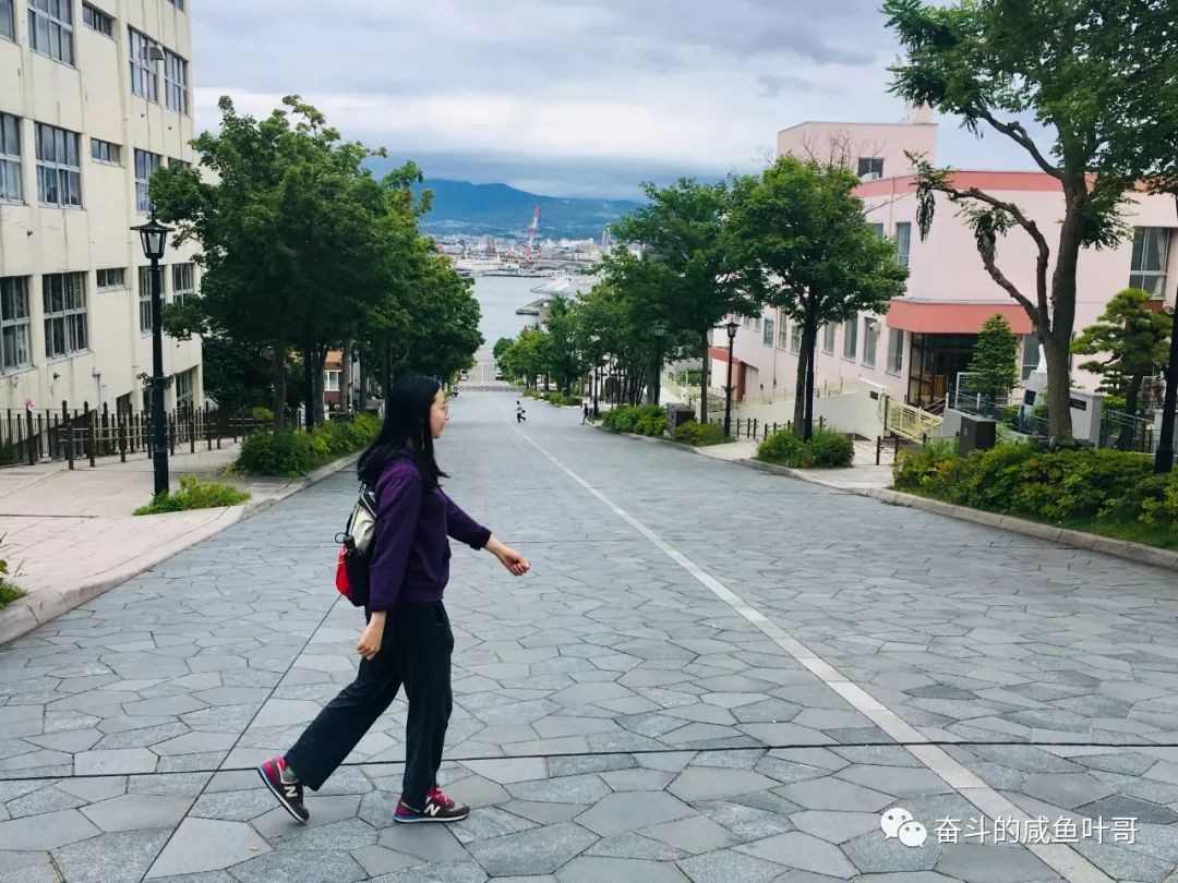 北海道函馆推荐,北海道的夏天