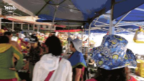 云南西双版纳旅游特色水果,云南西双版纳水果花