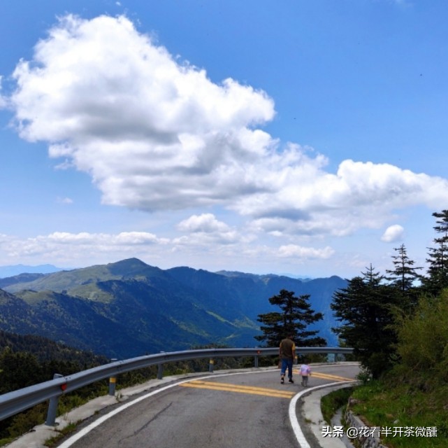 神农顶瞭望塔风景区,神农顶为什么叫华中第一哨