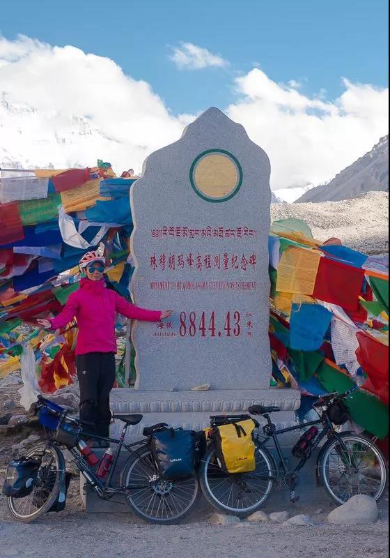 宠物美容专业的职业规划,宠物美容的理解与想法