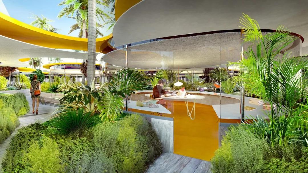 深圳市有梦想城市,深圳有梦想的城市