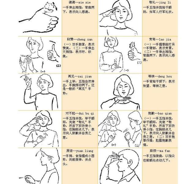 手投影在墙上的手势图片,手语一只手100个手势图解