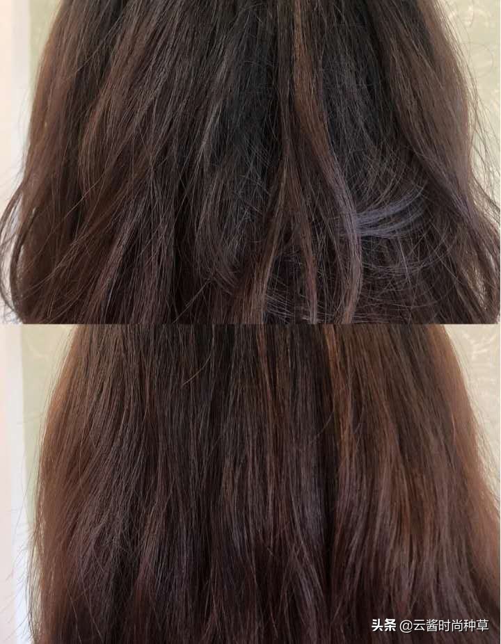 控油洗发水滋源和飘柔哪个好用,飘柔老款洗发水测评真实推荐