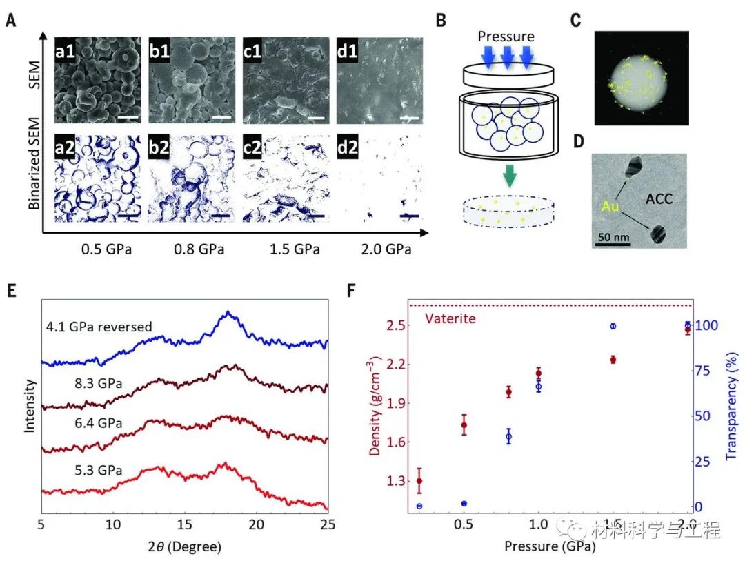 浙大《Science》:压力驱动下的非晶粒子融合成完整的整体