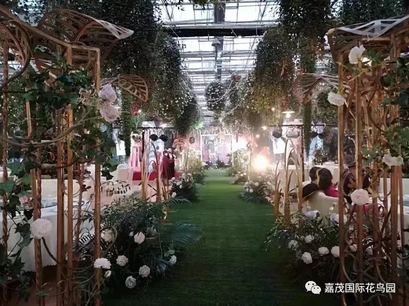 江阴嘉茂国际花鸟园,江阴嘉茂国际花鸟园什么时候再开