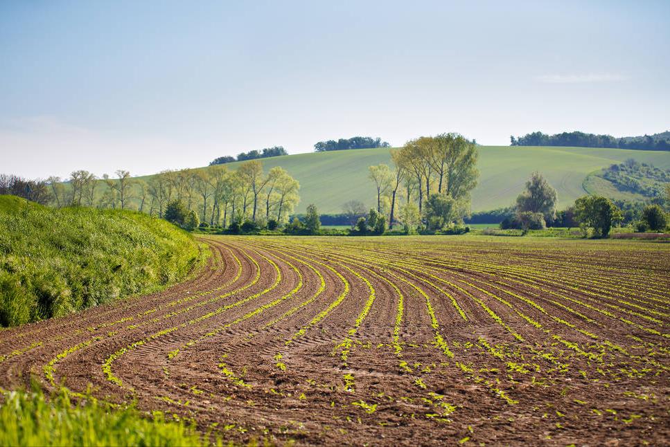 对行政复议结果不满可以投诉吗,对行政复议不满意怎么办