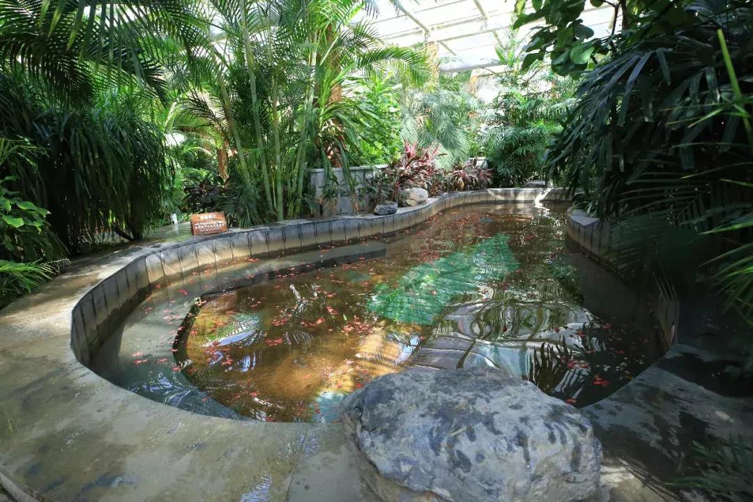 北京雪中温泉攻略,温泉和雪