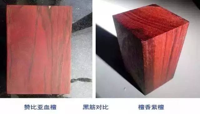 紫檀的真实身份,紫檀的一生