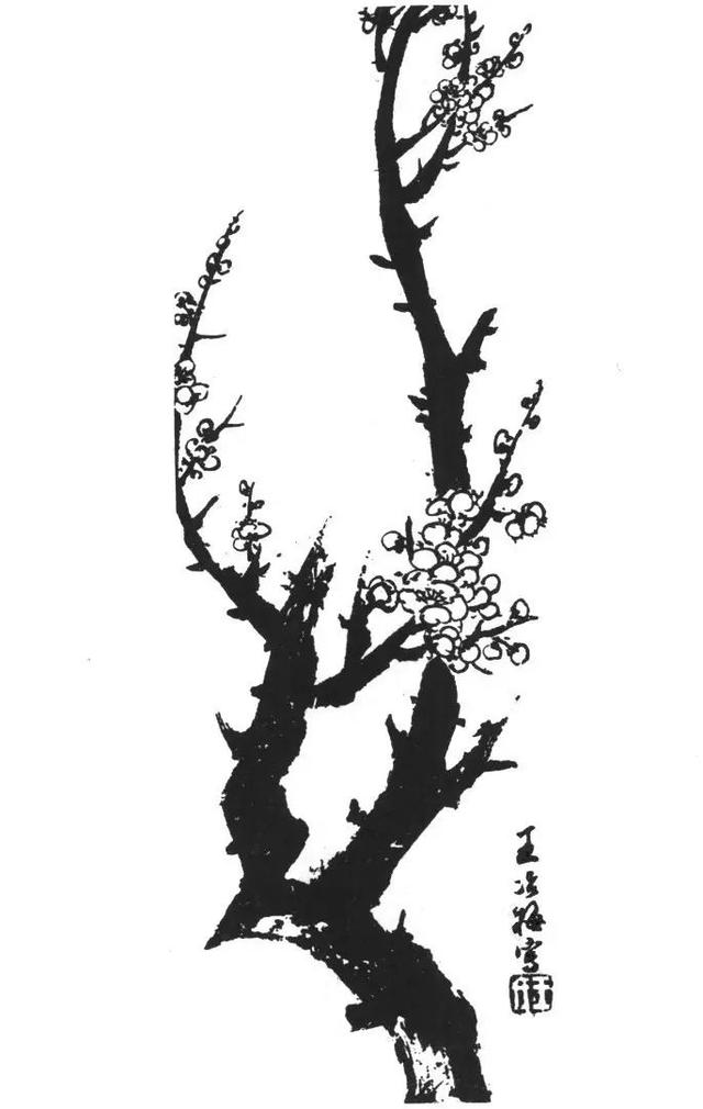 梅花的画法一年级,梅花的画法大全集