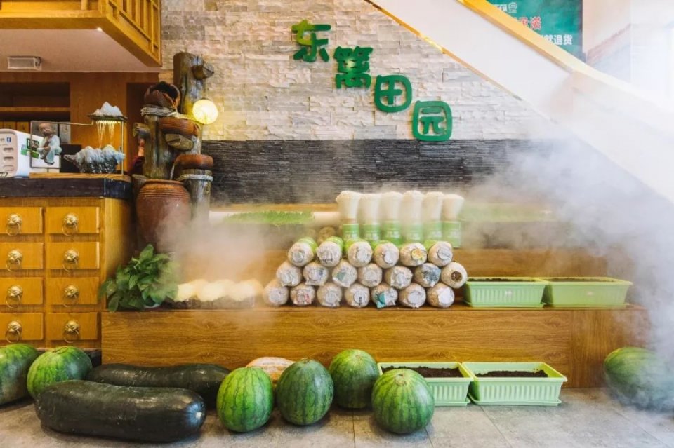 把菜园搬到餐厅,把菜园搬到家门口