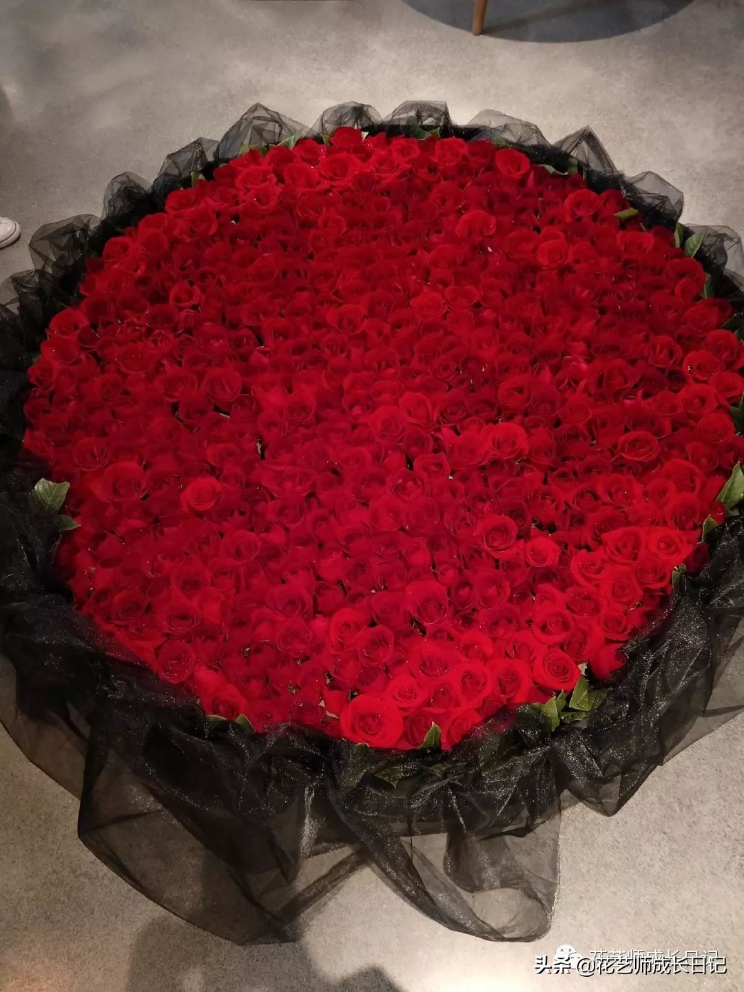 玫瑰花从1到99朵的花语是什么,1到19朵玫瑰花语是什么