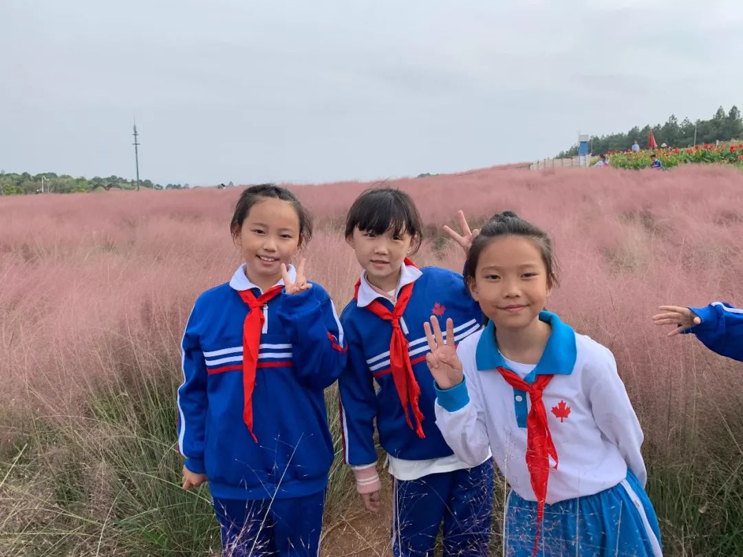 洋沙湖研学基地在哪里,洋沙湖岳阳研学