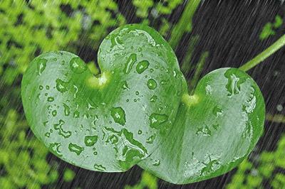 67名小男孩，靠身体打击模拟出雨声，最后的和声太震撼了