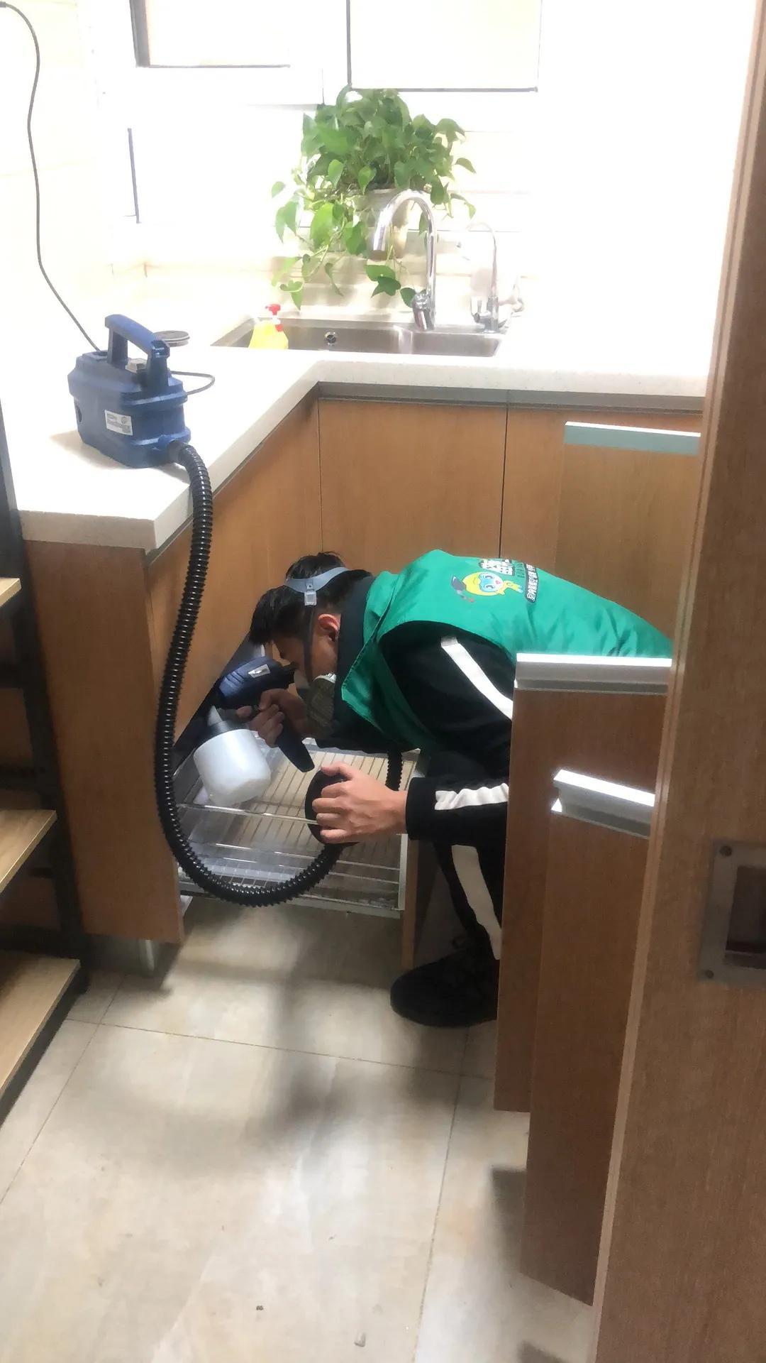 新房子除甲醛怎样最快,新房子怎么除甲醛最快最好