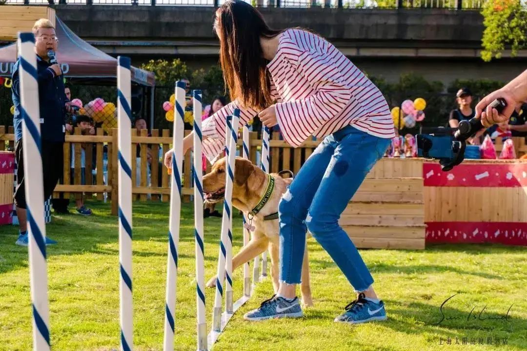2022年上海遛狗圣地,2021上海遛狗圣地
