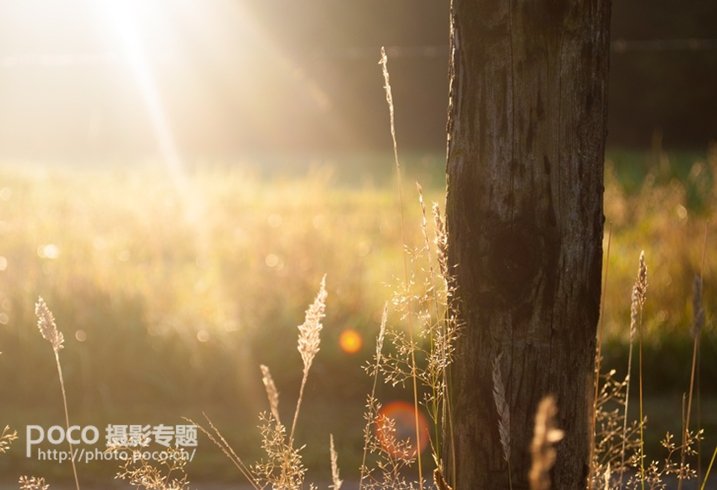 炫光攻略,眩光一招搞定