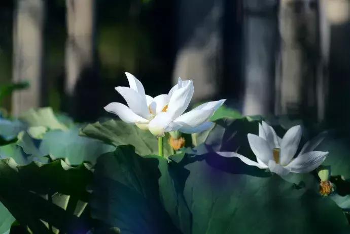 一生难遇的人,世界难遇的两种人