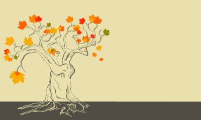 法国梧桐树转世(中英双语)