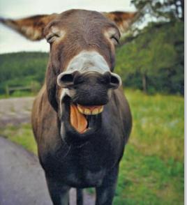 怎么消除口水音,如何避免口水音保证配音效果