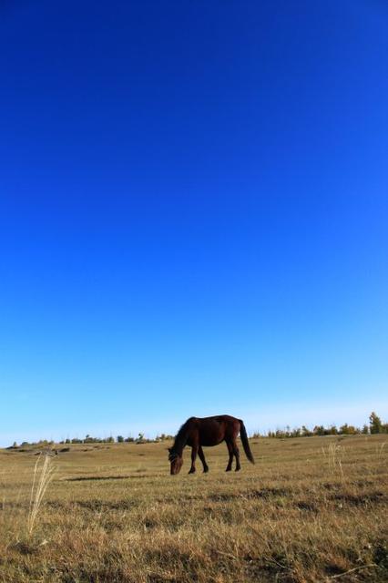 大兴安岭呼伦贝尔自驾攻略 (大兴安岭到呼伦贝尔大草原气候)