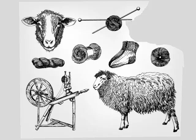 澳洲羊毛进口,澳洲进口羊毛