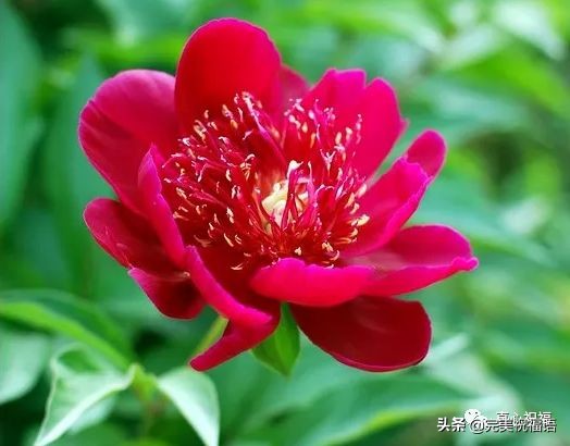 《老有老的骄傲》,送给群里的朋友