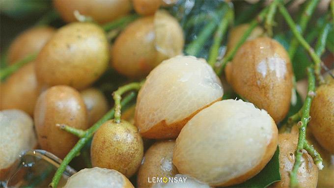 为什么黄皮火了,抖音上最火的黄皮