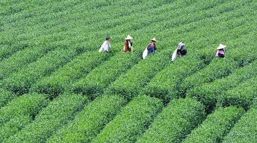 亲子小众宝藏旅行地三天,五一浙江亲子宝藏旅行地