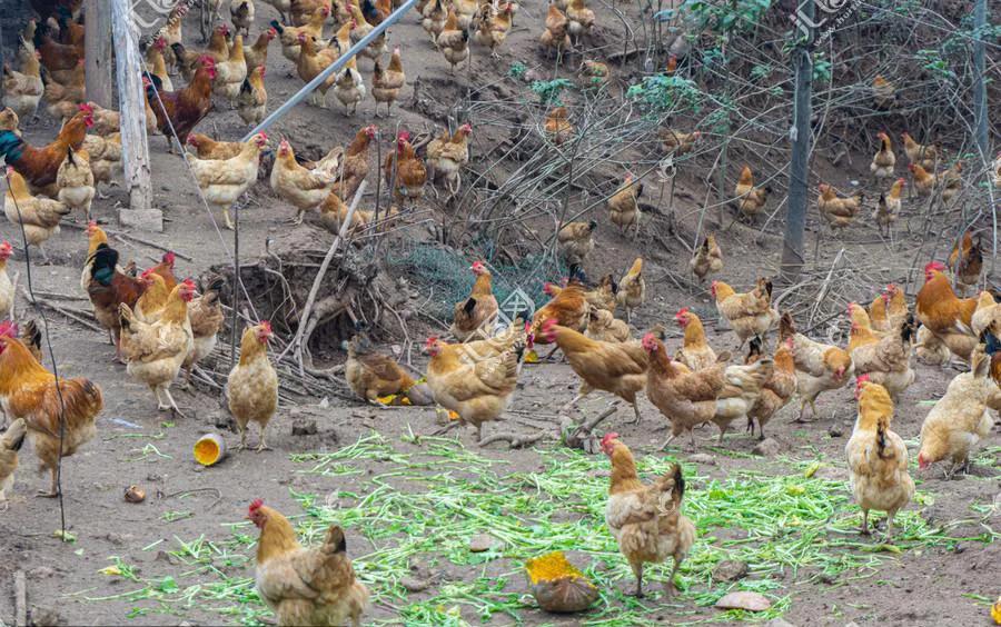 在贺兰山当兵的日子,难忘贺兰山军营