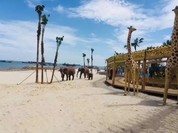 有一种美叫海边,有一种别样的美叫霞浦滩涂