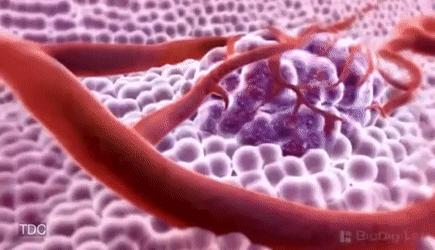 甲状腺癌手术后需要吃抗癌药物吗,治甲状腺癌有什么特效药