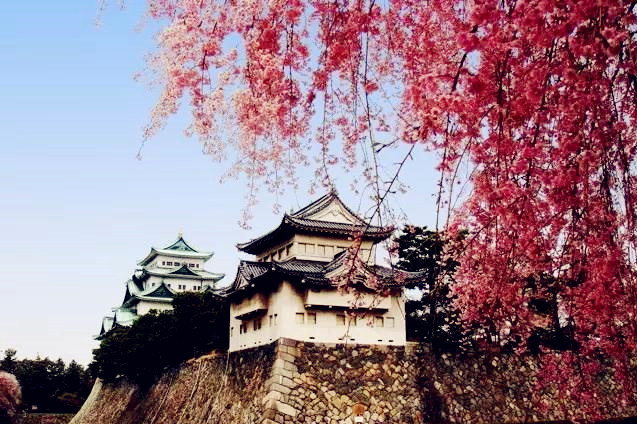 日本五天四夜旅游攻略视频,三天两夜的温泉之旅日本