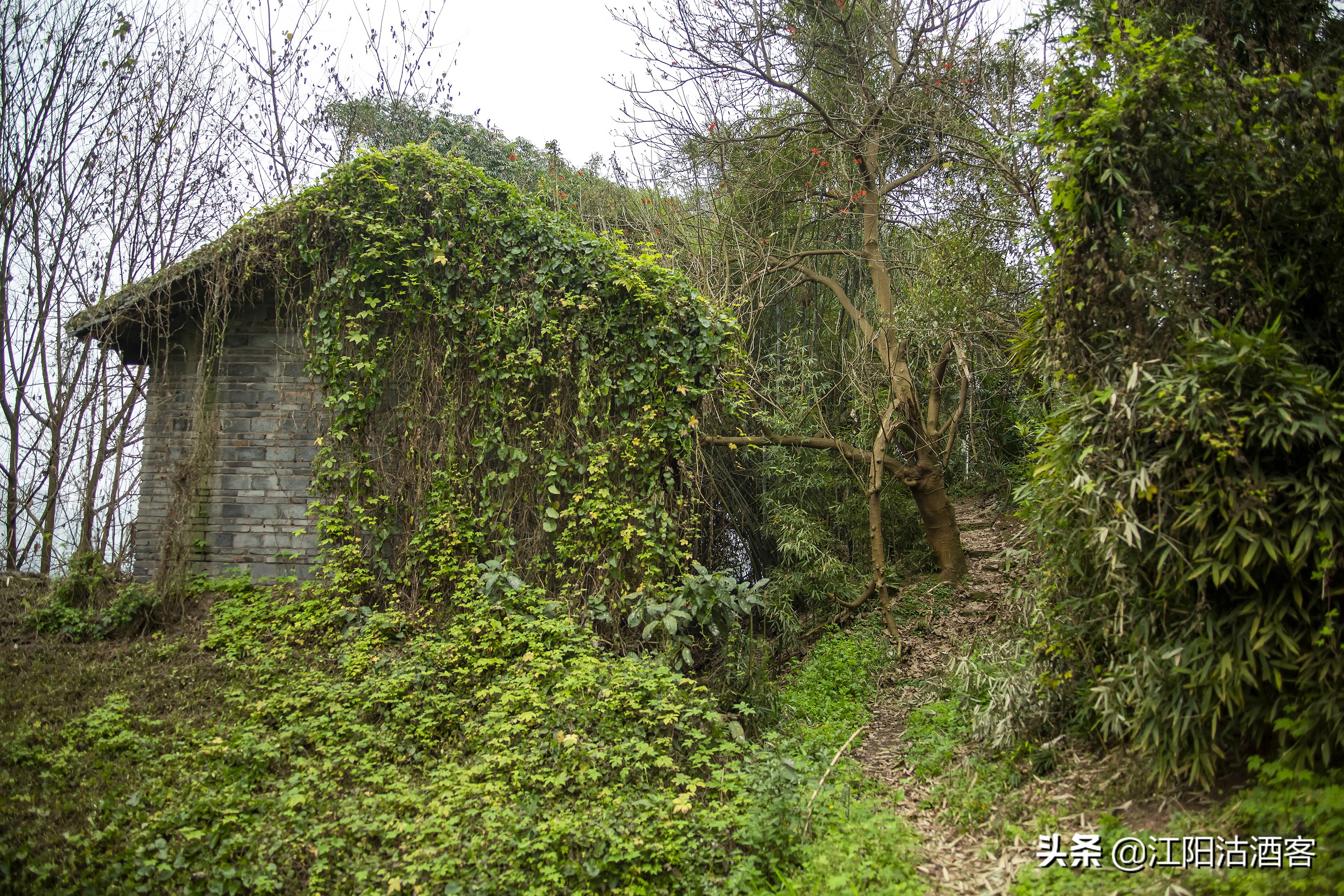泸州沙湾，一条通往茶马古道的长江水上码头，如今落寞无人问