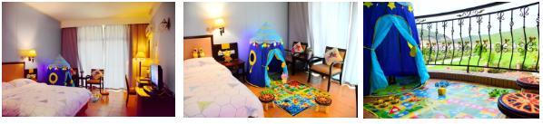 下川岛小帕劳,广东小帕劳