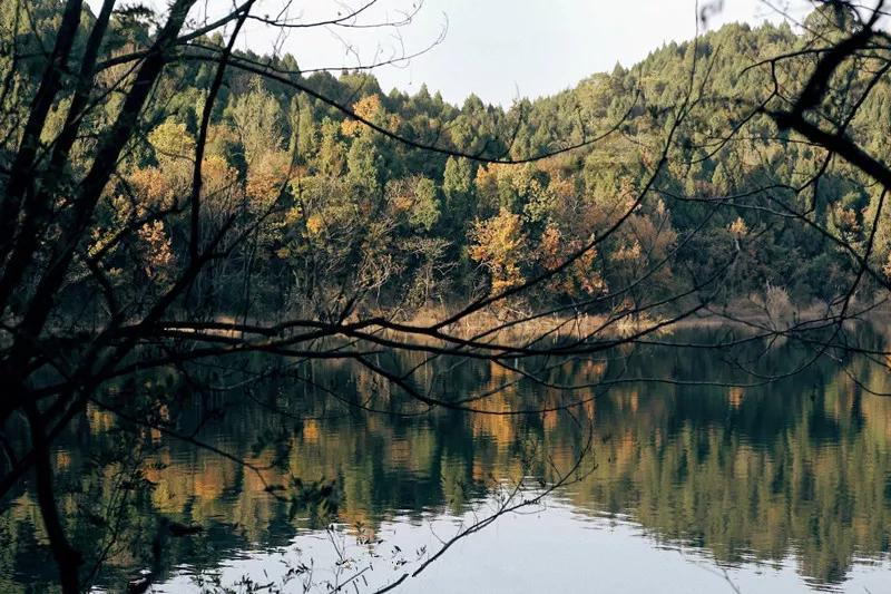 菜吧:她不上班也不靠脸吃饭,住2层小楼,过上了别人做梦都要的日子