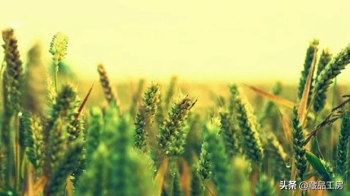 转瞬夏将至,转眼夏日已尽