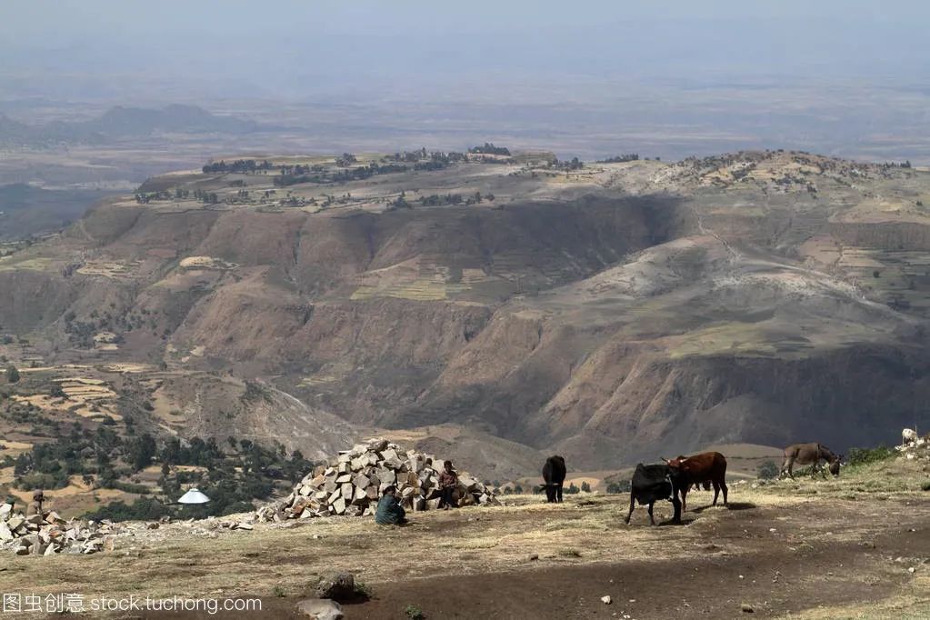 埃塞俄比亚税务追溯,埃塞俄比亚税收