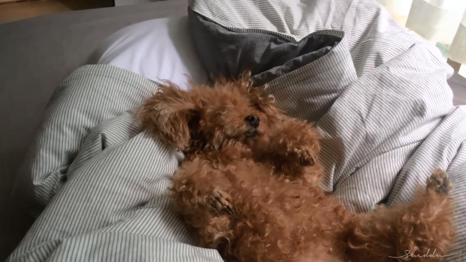 小姐姐分享自拍的“羞羞”日常，引百万人围观