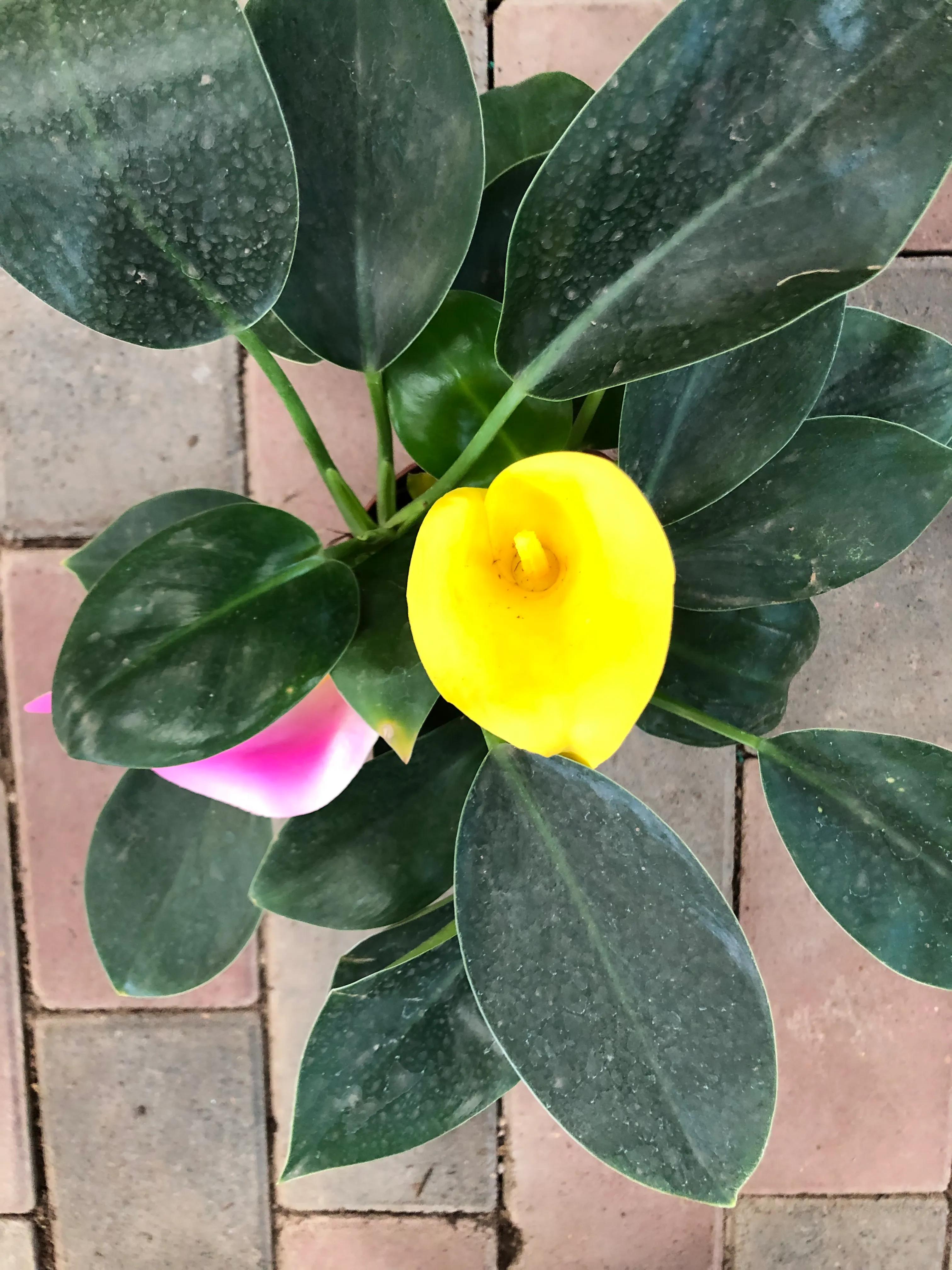 平顶山河滨公园旅游攻略,平顶山森林公园游记