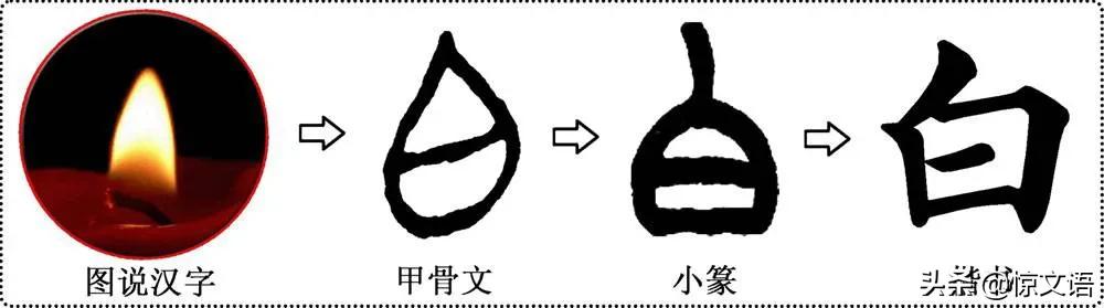 常见形声字古文,形声字小古文